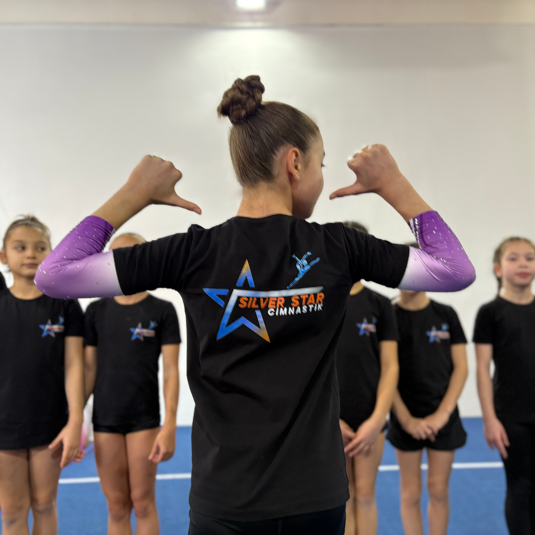 <h4>Yarışma Gurupları</h4>